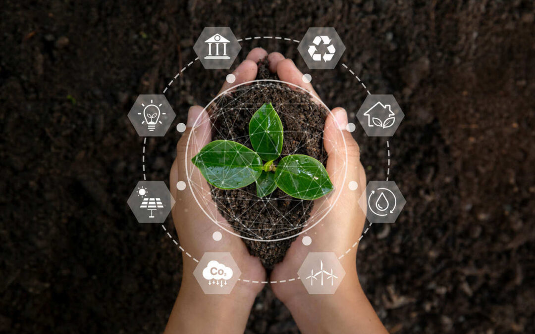 5º CELP reforça compromisso com futuro sustentável