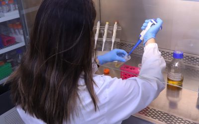 Engenharia em construção: o protagonismo feminino na ciência